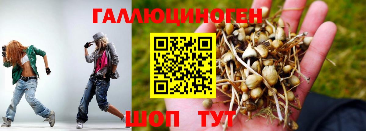 Псилоцибиновые грибы GOLDEN TEACHER  Вход с VPN  где купить наркоту  Псилоцибиновые грибы Psilocybine cubensis  Соль-Илецк 